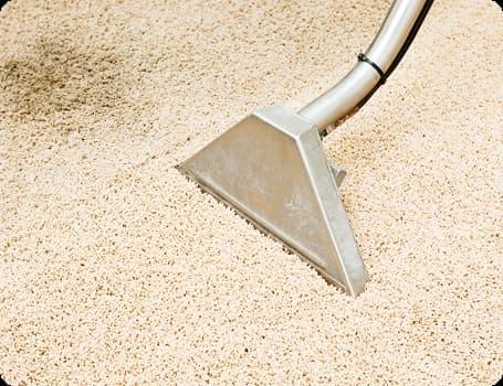 Обезпилення килиму професійними засобами