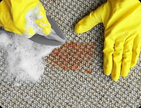 Виведення стійких плям професіоналами Дочиста